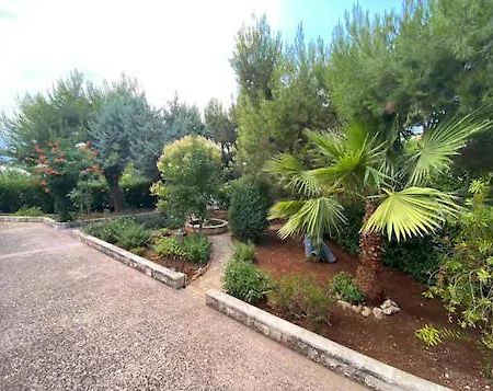 Villa Adelaide Ceglie Messapica Exteriér fotografie